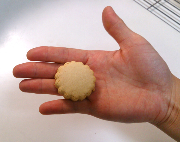 【感想-4】ホオリイ・豆乳おからクッキー(小麦粉使用)